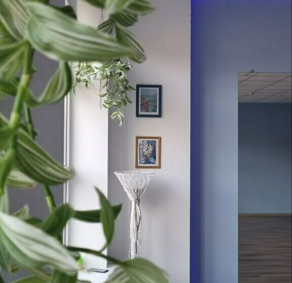 йога студия ростов йога студия ростов